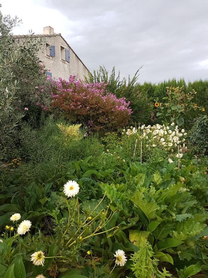 Les Lavandes