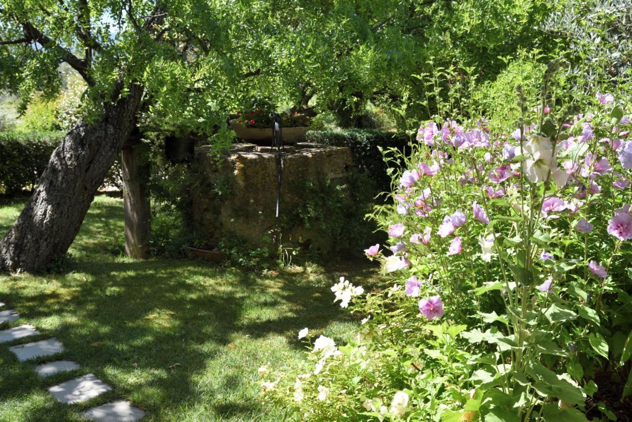 Les Lavandes Holiday home Vaison-la-Romaine