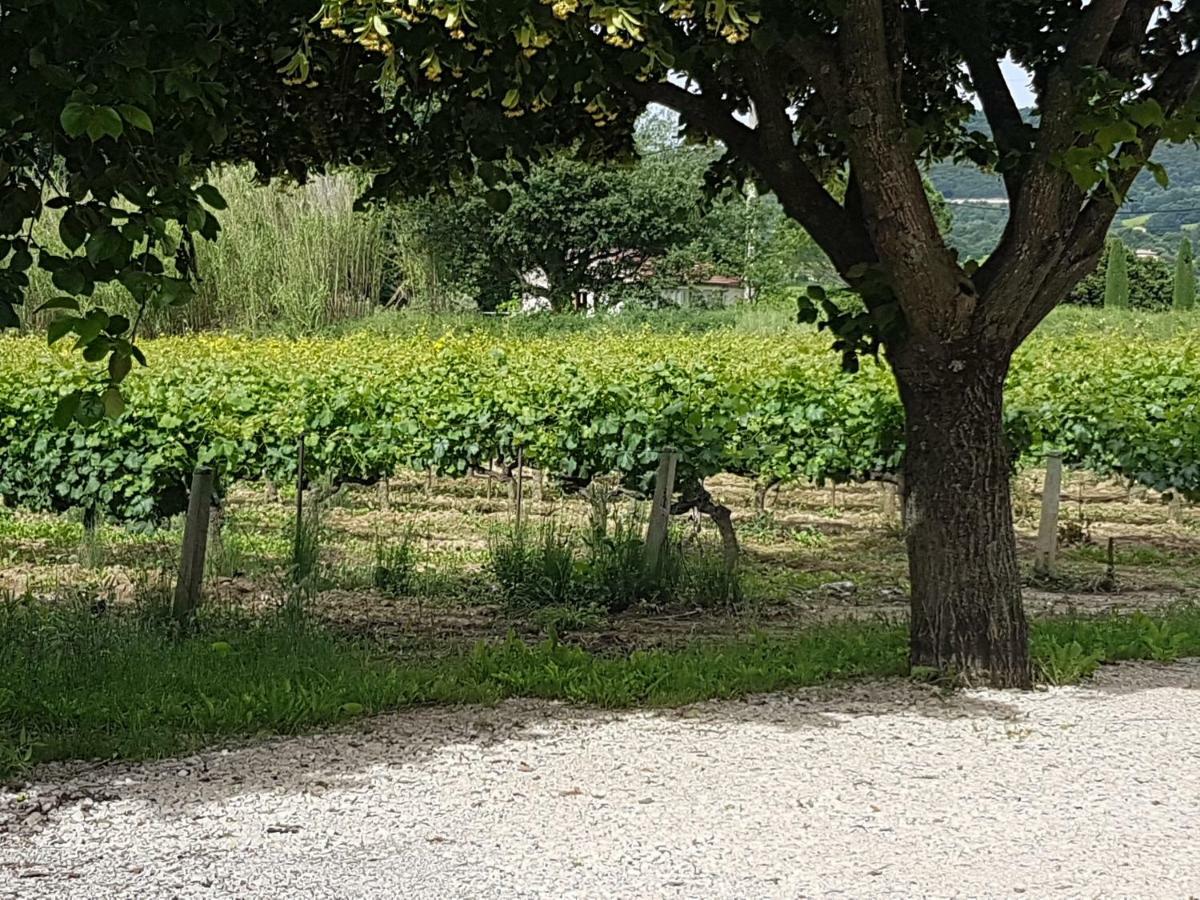 Holiday home Les Lavandes