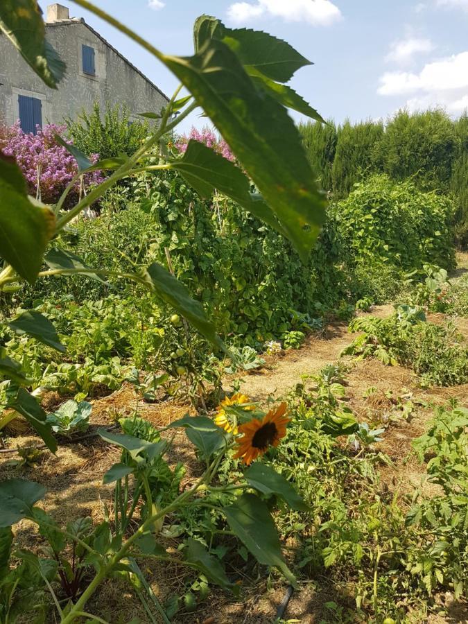 Holiday home Les Lavandes